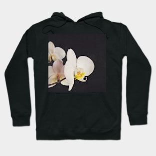 Black and White Orchid Hoodie